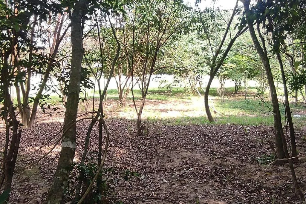Ferienhaus Casa De Campo E Eventos Ituporanga Brasilien